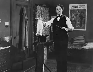 Wands: Magician pulling a rabbit out of a hat