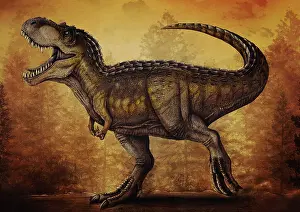 Textured: Magnatyrannus dinosaur