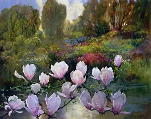 Magnolia: Magnolias