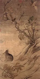 Magpie: Magpies and Hare