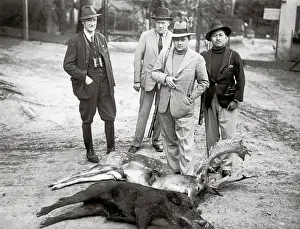 Boars: The Maharajah from Tripula