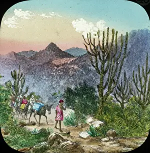 Mahdist: Mahdist War - Sudan Campaign - View from Marensi Pass