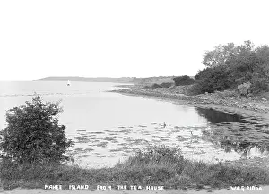 Foreshore: Mahee Island from the Tea House