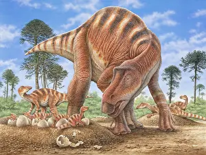 Caring: Maiasaura caring for its young in their nest