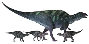 Saurolophinae: Maiasaura dinosaur with offspring