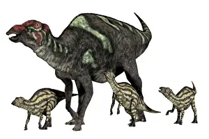 Saurolophinae: Maiasaura dinosaur with offspring