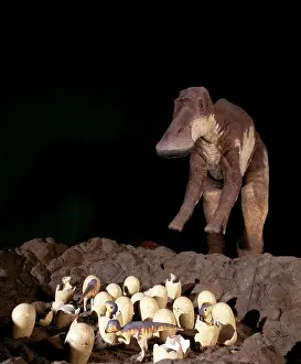 Saurolophinae: Maiasaura with nest of eggs and hatchlings