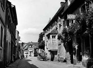 Weinstrasse: Maikammer, 1943