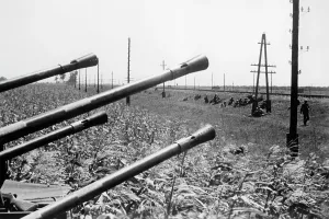 Armavir: Maikop front, Caucasus, 1942