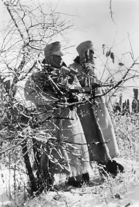 Furs: Maikop Front, Caucasus, 1942
