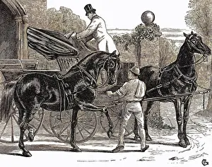 Phaeton: Mail Phaeton - 1872
