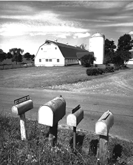 Camerique: Four Mailboxes At The Side Of The Road before a Dairy Farm