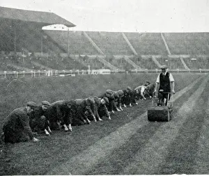 Pitch: Maintenance of pitch before FA Cup Final, Wembley Stadium