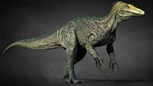 Claw: Maip macrothorax dinosaur