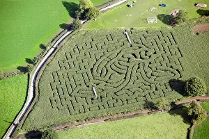 Jowett: Maize Maze
