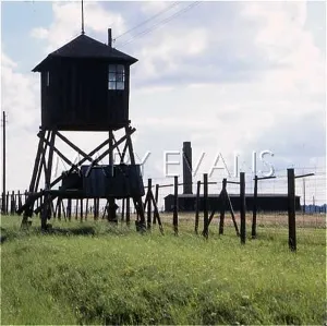 Fench: MAJDANEK CAMP/POLAND