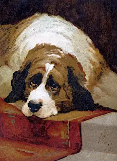 Sleepy: The Major Domo by H C Shaw
