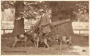 Sentries: MAJOR RICHARDSONS DOGS