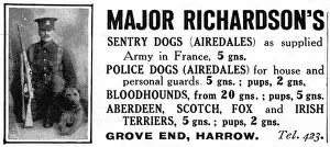Airedale: Major Richardson's sentry dogs advertisement