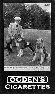 Dispatches: Major Richardson's war dogs - bringing in a dispatch