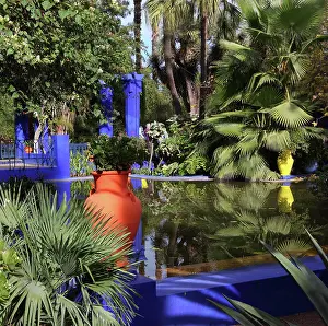 Majorelle: Majorelle Garden, Marrakech, Morocco