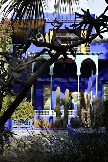 Majorelle: Majorelle Garden, Marrakech, Morocco