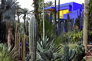 Merrakec: Majorelle Garden, Marrakech, Morocco