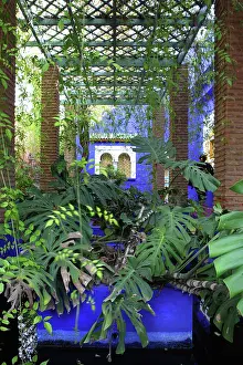 Pergola: Majorelle Garden, Marrakech, Morocco