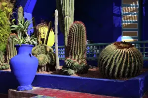 Merrakec: Majorelle Garden, Marrakech, Morocco