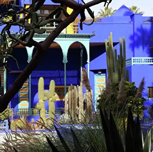 Merrakec: Majorelle Garden, Marrakech, Morocco