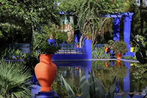 Pergola: Majorelle Garden, Marrakech, Morocco