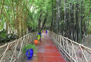 Merrakec: Majorelle Garden, Marrakech, Morocco