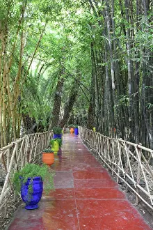 Merrakec: Majorelle Garden, Marrakech, Morocco
