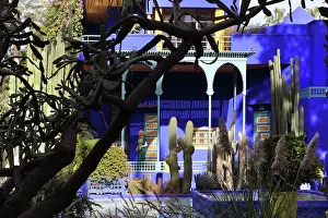 Merrakec: Majorelle Garden, Marrakech, Morocco