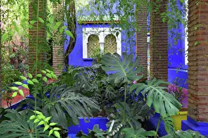 Merrakec: Majorelle Garden, Marrakech, Morocco