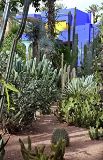 Merrakec: Majorelle Garden, Marrakech, Morocco