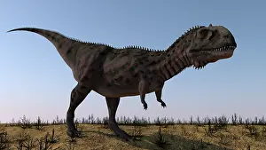 Megalosaurus: Majungasaurus in a barren environment