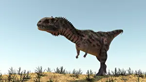 Ceratosaur: Majungasaurus in a barren environment