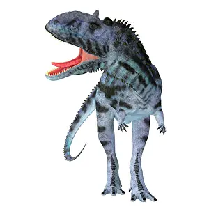 Menacing: Majungasaurus dinosaur roaring, front view on
