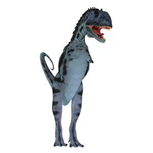 Ceratosaur: Majungasaurus dinosaur, front view on white background