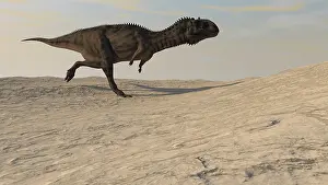 Abelisaurid: Majungasaurus running across a barren desert
