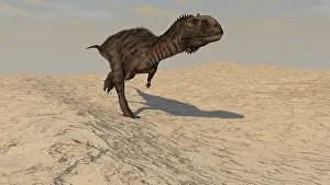 Abelisaurid: Majungasaurus running across a barren desert