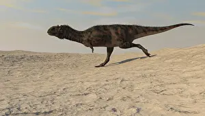 Abelisaurid: Majungasaurus running across a barren desert