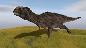Abelisaurid: Majungasaurus running across a grassy field