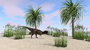 Abelisaurid: Majungasaurus in a tropical environment