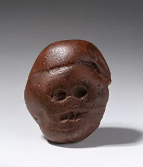Australopithecus: The Makapansgat Pebble