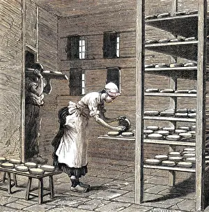 Camembert: MAKING CAMEMBERT 1870