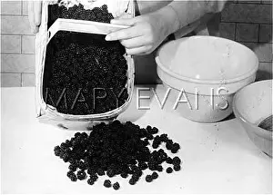 Brambles: MAKING A FRUIT DISH