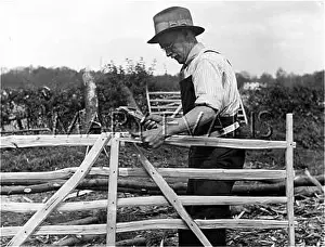 Bracing: MAKING GATE HURDLES