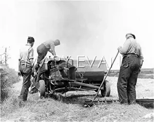They Ve: MAKING HAY BALES